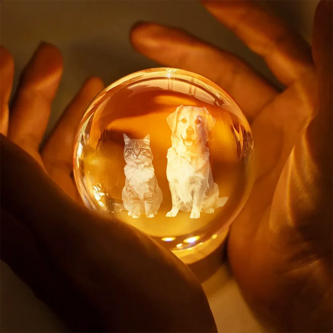 Esfera de Cristal Personalizada con Foto y Nombres – Lámpara Iluminada Familiar, Mascotas o Pareja